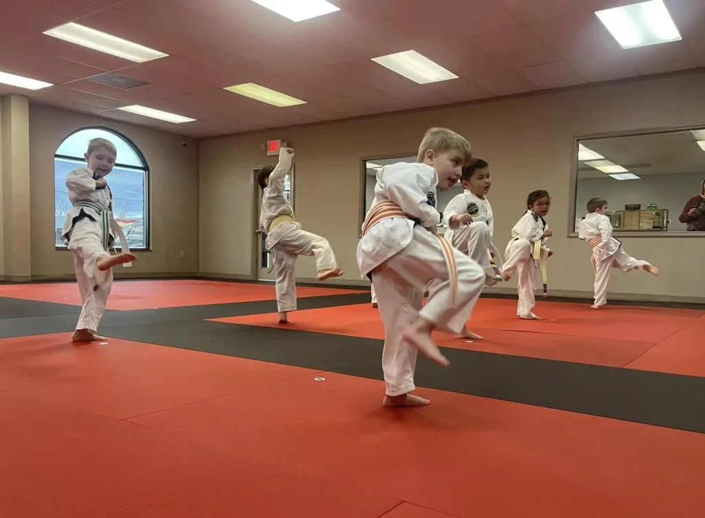 Preschool Karate Classes in Cape Girardeau