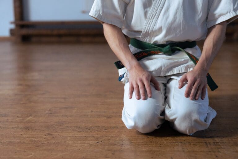 adult Karate classes in Cape Girardeau